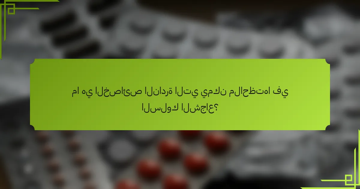 ما هي الخصائص النادرة التي يمكن ملاحظتها في السلوك الشجاع؟